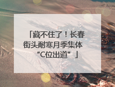 藏不住了！长春街头耐寒月季集体“C位出道”