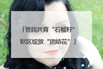 警民共育“石榴籽” 辖区绽放“团结花”