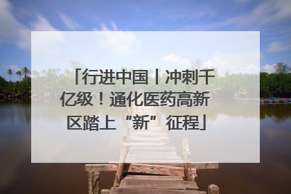 行进中国丨冲刺千亿级！通化医药高新区踏上“新”征程