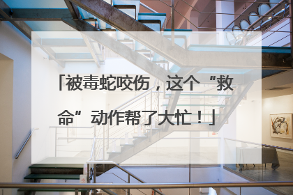 被毒蛇咬伤，这个“救命”动作帮了大忙！