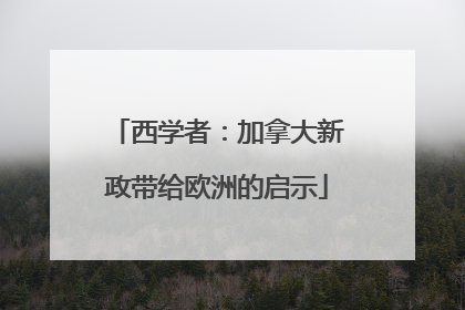 西学者：加拿大新政带给欧洲的启示