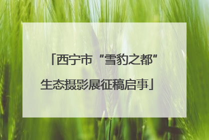 西宁市“雪豹之都”生态摄影展征稿启事