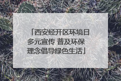 西安经开区环境日多元宣传 普及环保理念倡导绿色生活