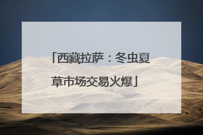 西藏拉萨：冬虫夏草市场交易火爆