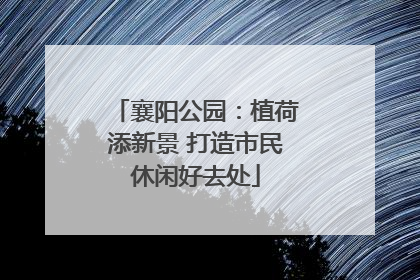襄阳公园：植荷添新景 打造市民休闲好去处