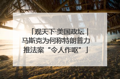 观天下·美国政坛｜马斯克为何称特朗普力推法案“令人作呕”