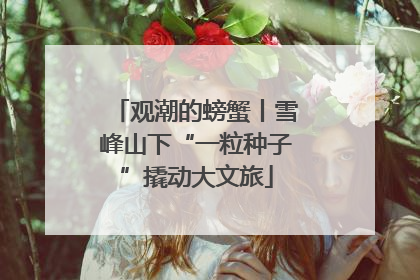 观潮的螃蟹丨雪峰山下“一粒种子”撬动大文旅