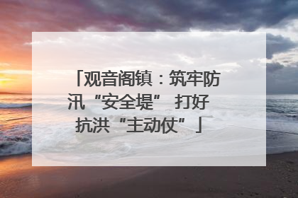 观音阁镇：筑牢防汛“安全堤” 打好抗洪“主动仗”