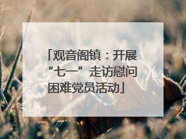 观音阁镇：开展“七一”走访慰问困难党员活动