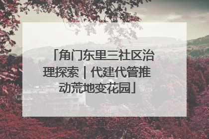 角门东里三社区治理探索｜代建代管推动荒地变花园