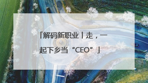 解码新职业丨走，一起下乡当“CEO”
