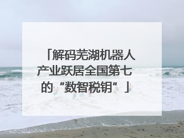 解码芜湖机器人产业跃居全国第七的“数智税钥”