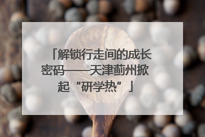解锁行走间的成长密码——天津蓟州掀起“研学热”