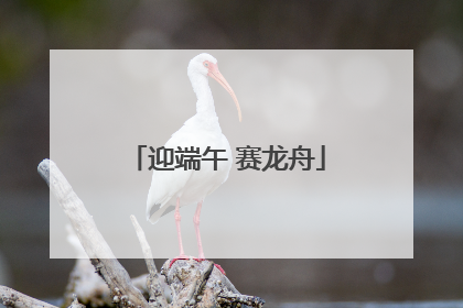 迎端午 赛龙舟