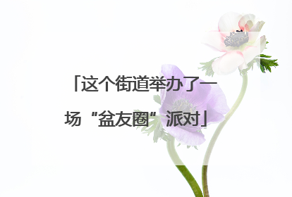 这个街道举办了一场“盆友圈”派对