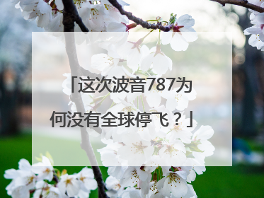 这次波音787为何没有全球停飞？