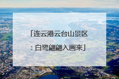 连云港云台山景区：白鹭翩翩入画来