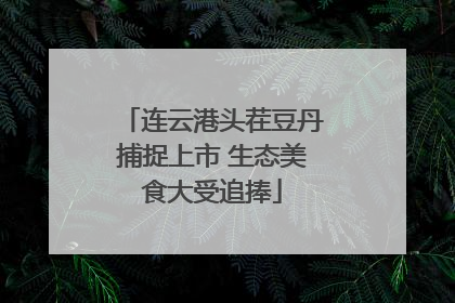 连云港头茬豆丹捕捉上市 生态美食大受追捧