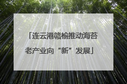 连云港赣榆推动海苔老产业向“新”发展