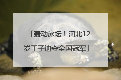 轰动泳坛！河北12岁于子迪夺全国冠军