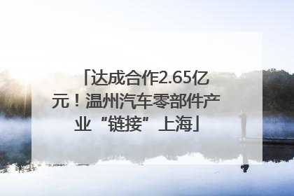 达成合作2.65亿元！温州汽车零部件产业“链接”上海