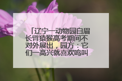 辽宁一动物园白眉长臂猿猴高考期间不对外展出，园方：它们一高兴就喜欢鸣叫，怕影响考试