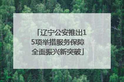 辽宁公安推出15项举措服务保障全面振兴新突破