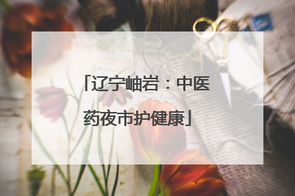 辽宁岫岩：中医药夜市护健康