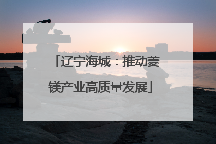 辽宁海城：推动菱镁产业高质量发展