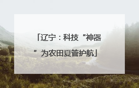辽宁：科技“神器”为农田夏管护航