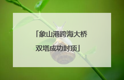 象山港跨海大桥双塔成功封顶