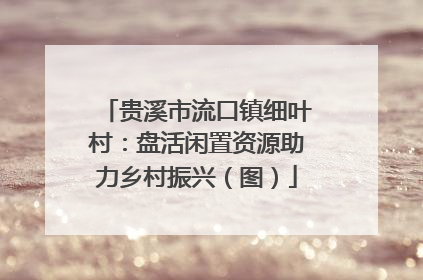 贵溪市流口镇细叶村：盘活闲置资源助力乡村振兴（图）