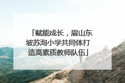赋能成长，眉山东坡苏洵小学共同体打造高素质教师队伍