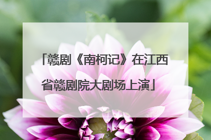 赣剧《南柯记》在江西省赣剧院大剧场上演