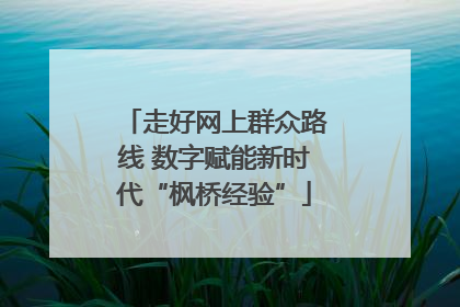 走好网上群众路线 数字赋能新时代“枫桥经验”
