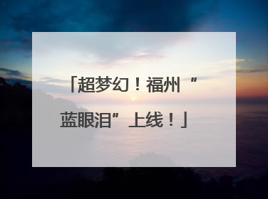超梦幻！福州“蓝眼泪”上线！