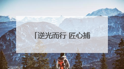 逆光而行 匠心捕韵——淄博高新区老年大学户外课堂解码光影美学密码