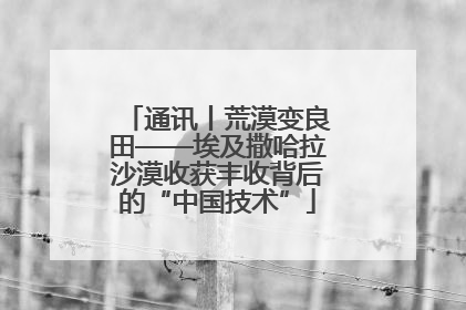 通讯丨荒漠变良田——埃及撒哈拉沙漠收获丰收背后的“中国技术”
