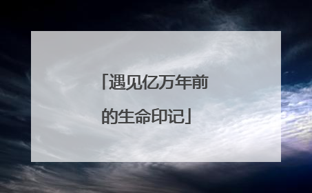 遇见亿万年前的生命印记
