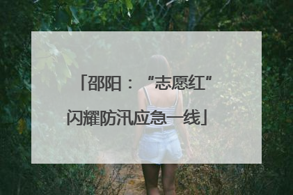 邵阳：“志愿红”闪耀防汛应急一线