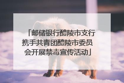 邮储银行醴陵市支行携手共青团醴陵市委员会开展禁毒宣传活动