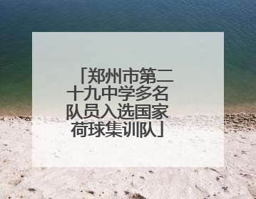 郑州市第二十九中学多名队员入选国家荷球集训队