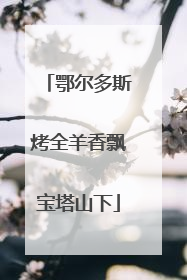 鄂尔多斯烤全羊香飘宝塔山下