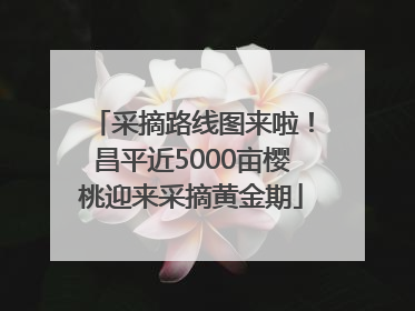 采摘路线图来啦！昌平近5000亩樱桃迎来采摘黄金期