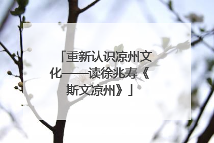 重新认识凉州文化——读徐兆寿《斯文凉州》