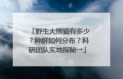 野生大熊猫有多少？种群如何分布？科研团队实地探秘→