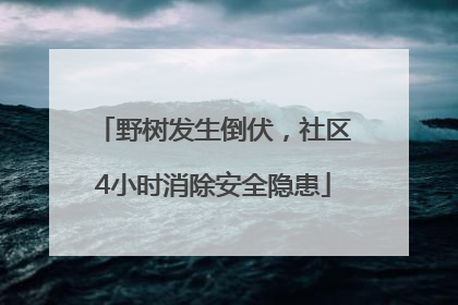 野树发生倒伏，社区4小时消除安全隐患