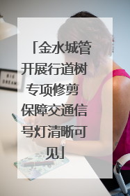 金水城管开展行道树专项修剪 保障交通信号灯清晰可见