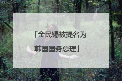 金民锡被提名为韩国国务总理