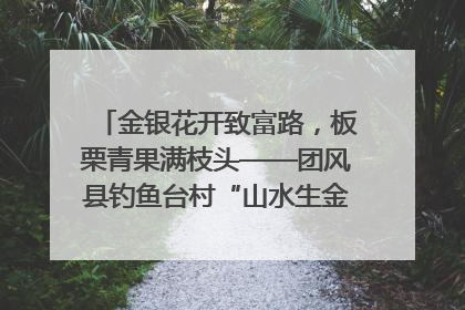 金银花开致富路，板栗青果满枝头——团风县钓鱼台村“山水生金”谱写共富新篇章